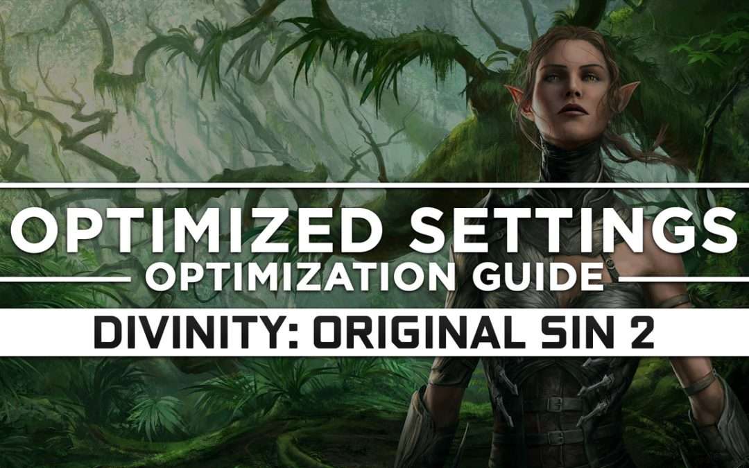 Divinity: Original Sin 2 — Optimized PC Settings for Best Performance